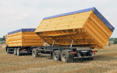 Услуги зерновозов для перевозки зерна - Гаврилов Ям, цены, предложения специалистов