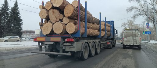 Поиск транспорта для перевозки леса, бревен и кругляка стоимость услуг и где заказать - Ярославль